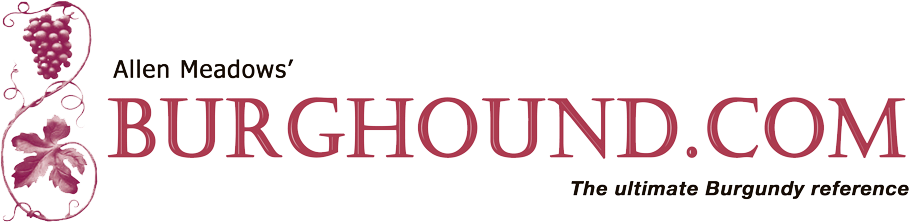 BURGHOUND.com – The ultimate Burgundy reference logo