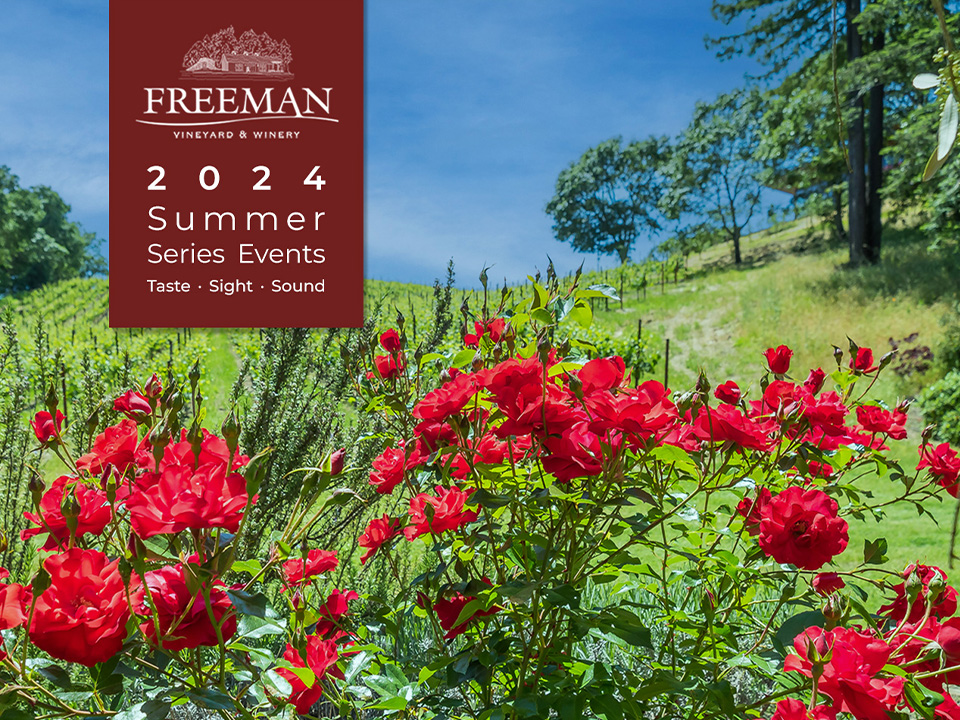 2024 Freeman Summer Series banner